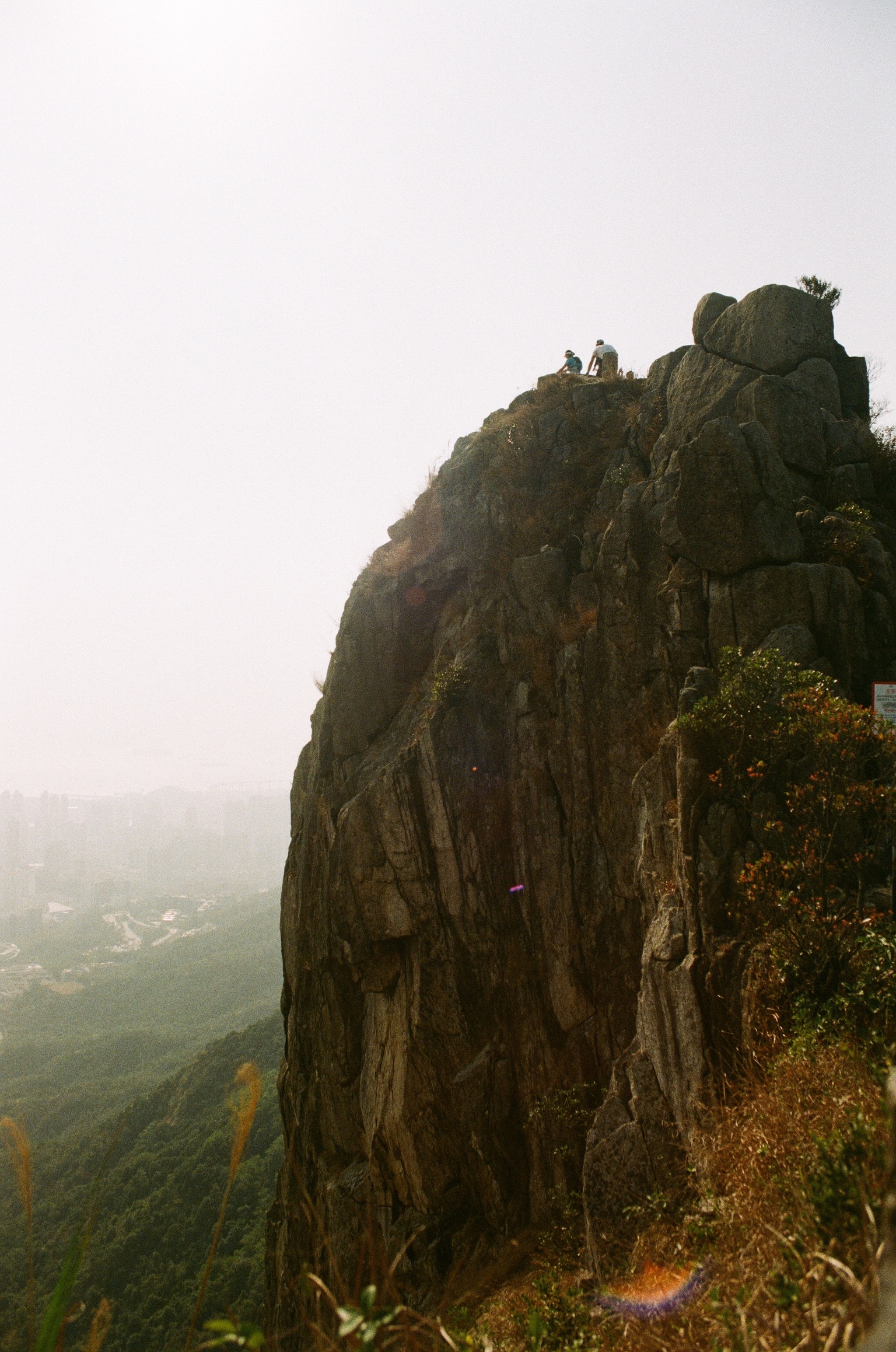 Kodak GOLD #16